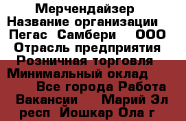 Мерчендайзер › Название организации ­ "Пегас" Самбери-3, ООО › Отрасль предприятия ­ Розничная торговля › Минимальный оклад ­ 23 500 - Все города Работа » Вакансии   . Марий Эл респ.,Йошкар-Ола г.